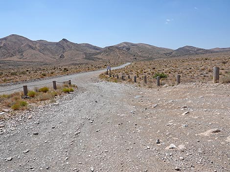 Cottonwood Valley Trailhead