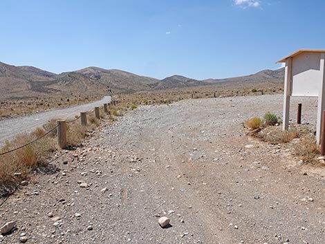 Cottonwood Valley Trailhead