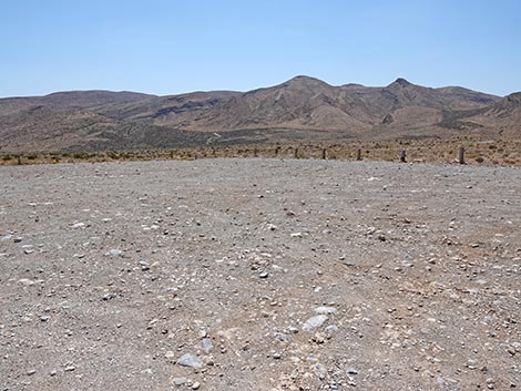 Cottonwood Valley Trailhead