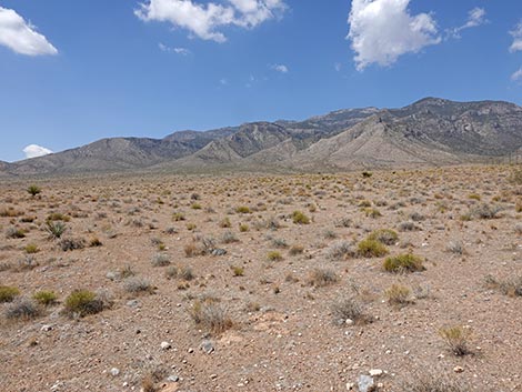 Cottonwood Valley Trailhead