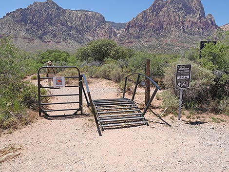 First Creek Canyon Trail