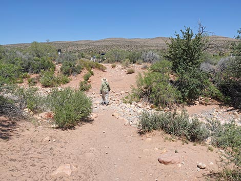 First Creek Trailhead