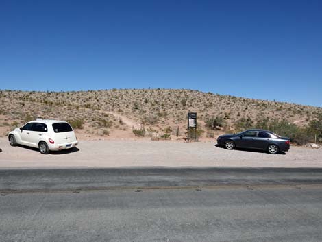 Genes Trailhead