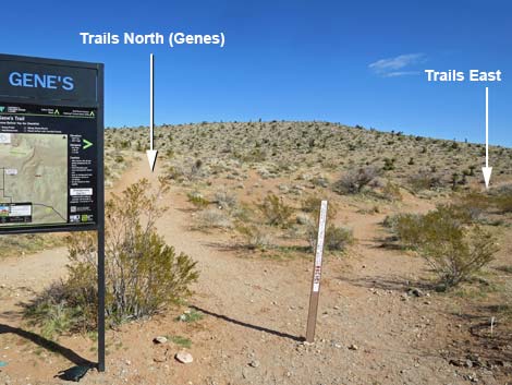 Genes Trailhead