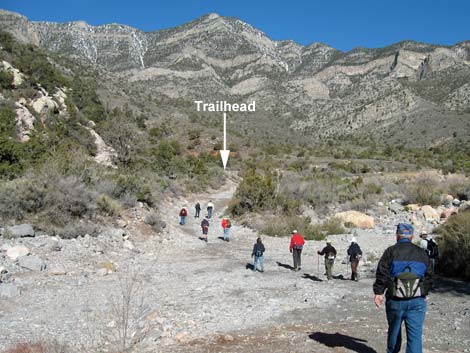 La Madre Trailhead