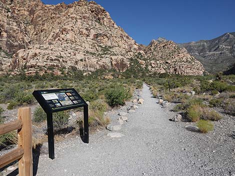 Children's Discovery Trailhead