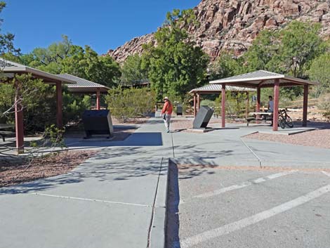 Red Spring Boardwalk Trail