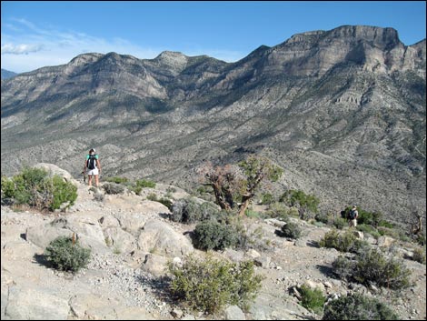 Turtlehead Peak