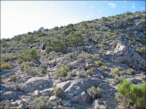 Turtlehead Peak