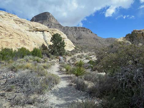 Turtlehead Mountain