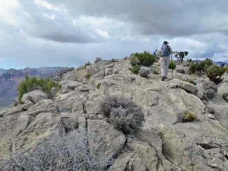 Turtlehead Mountain