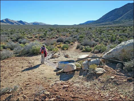 Cottonwood Valley Springs Loop Trail