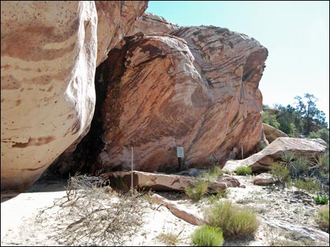 White Rock Loop Trail