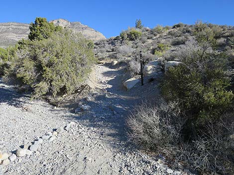 White Rock Loop Trail