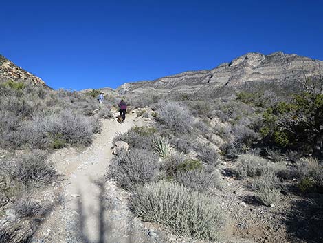 White Rock Loop Trail