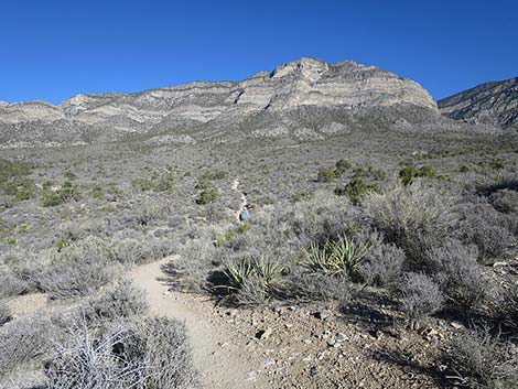 White Rock Loop Trail