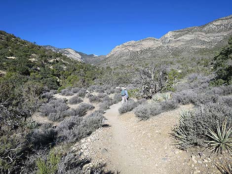 White Rock Loop Trail