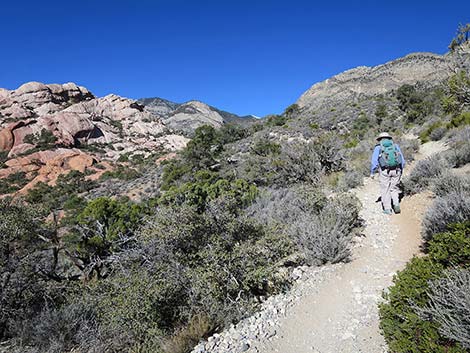 White Rock Loop Trail