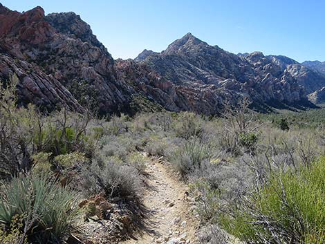 White Rock Loop Trail