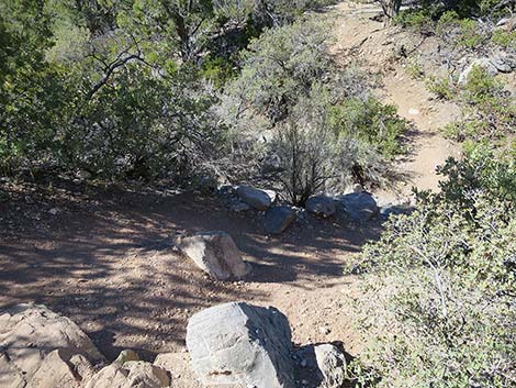 White Rock Loop Trail