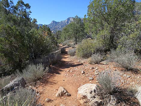 White Rock Loop Trail