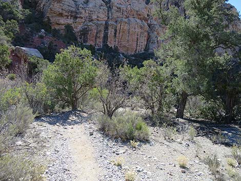 White Rock Loop Trail