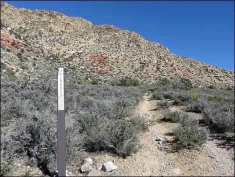 White Rock Loop Trail