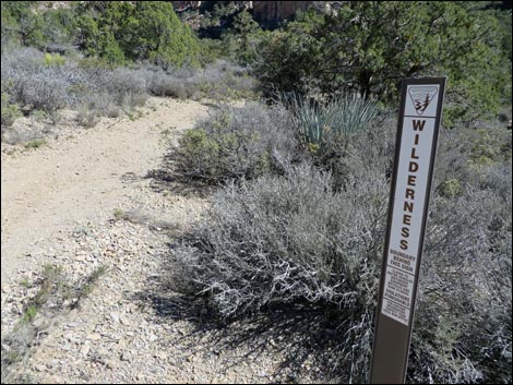 White Rock Loop Trail