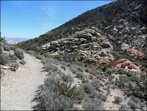 White Rock Loop Trail