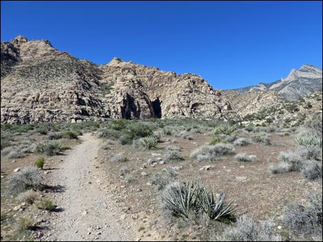 White Rock Loop Trail