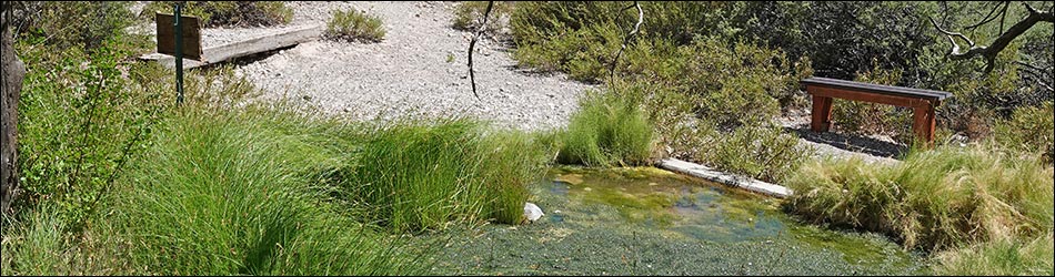 White Rock Spring