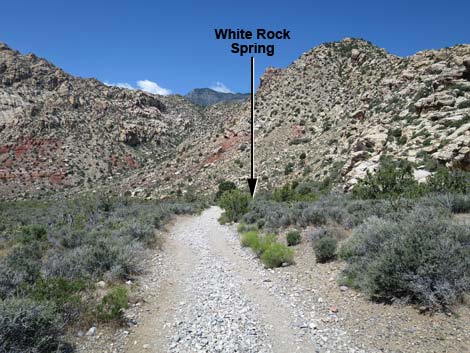 White Rock Spring Trail