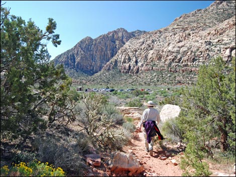 Willow Springs Loop