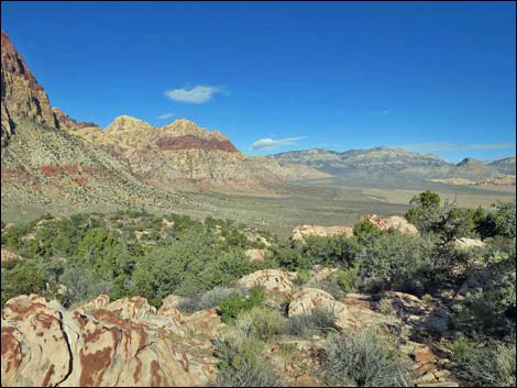 Wilson's Pimple Peak Trail