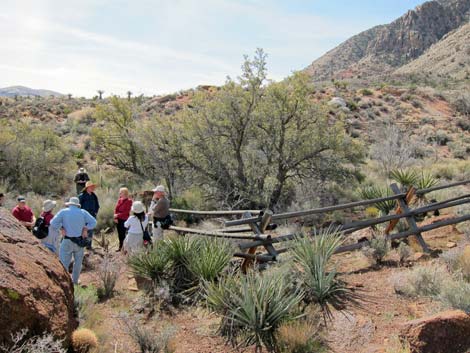 Wooden Fence Spring Trail