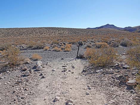 BLM 100 Trail