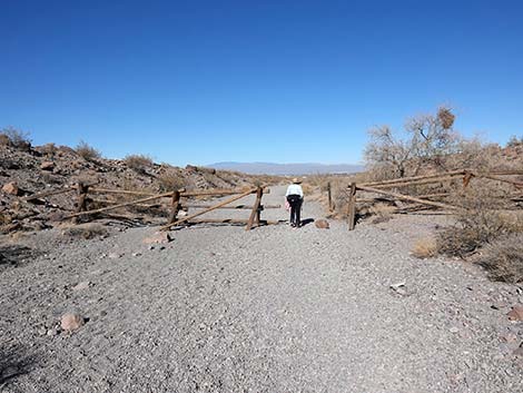 Petroglyph Canyon Trail