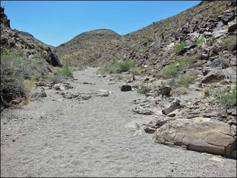 North McCullough Wilderness Area