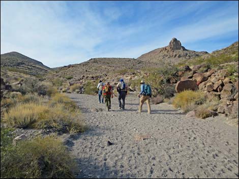 BLM 100 Trail