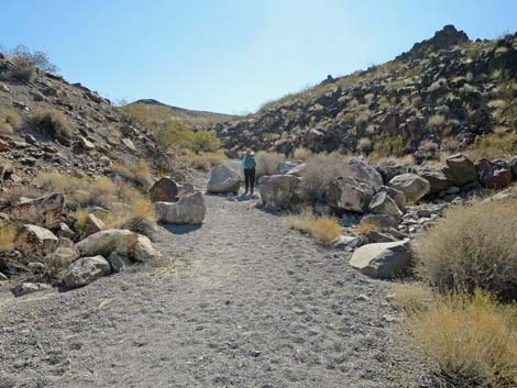 Petroglyph Canyon Trail