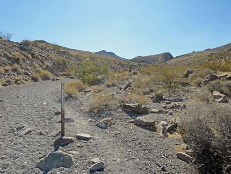 Petroglyph Canyon Trail