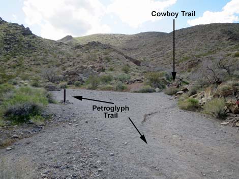 Petroglyph Canyon Trail