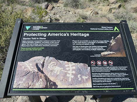 Petroglyph Canyon Trail