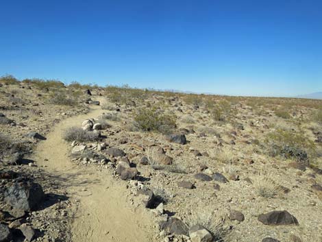 Petroglyph Trail