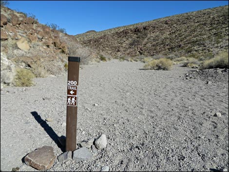 BLM 200 Trail