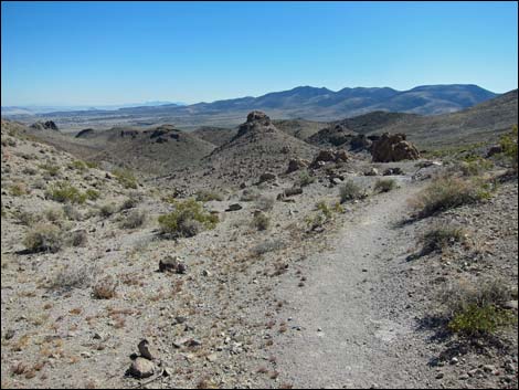 Hidden Valley Trail