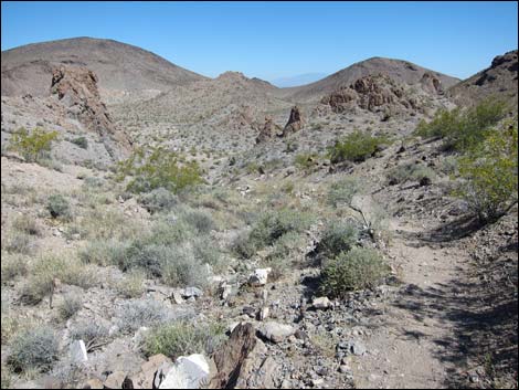 Hidden Valley Trail