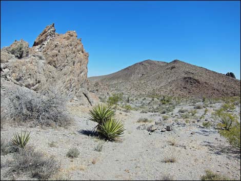 Hidden Valley Trail