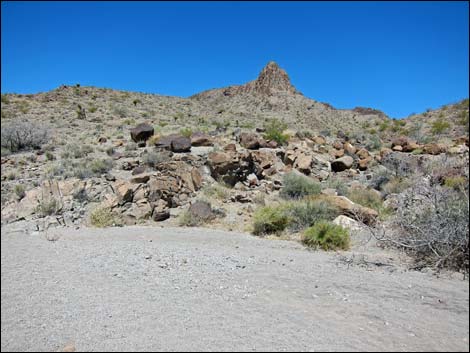 Hidden Valley Trail