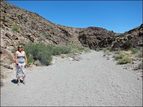 Hidden Valley Trail